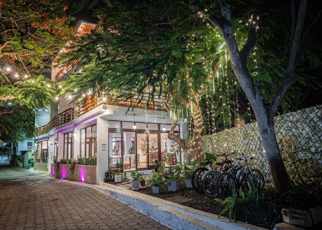 Hotel La Isla 阿约拉港 外观 照片